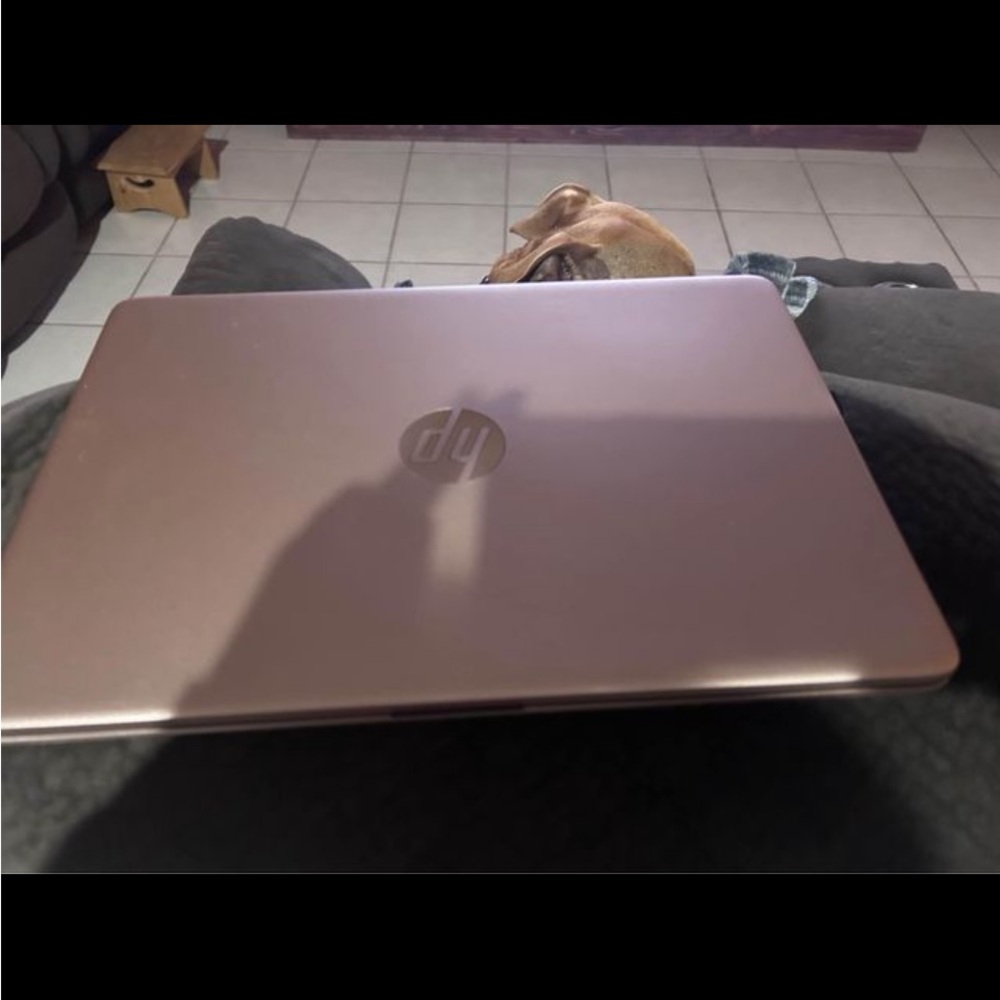 Brand new HP Laptop pink. With charger. Used once.